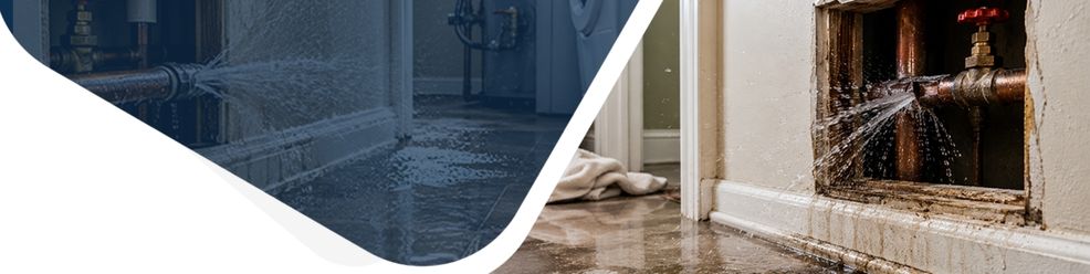 Fast Plumbing Service